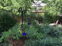 The Indigo at Nancys Cottage Tourism Bookings