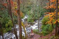 The Junction Tourism Bookings