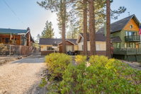 The Petite Cabin Tourism Bookings
