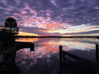 The River house Tourism Bookings