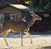 The River Inn - USA Accommodation