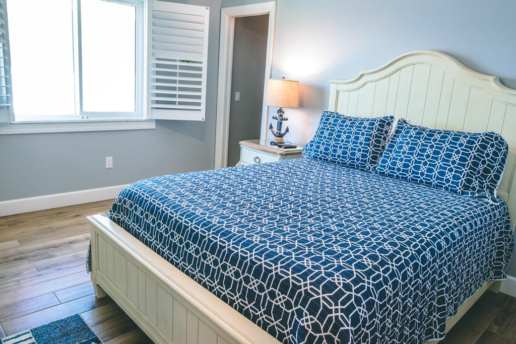 The Seahorse - thumb 0