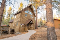 The Spruce Moose Tourism Bookings