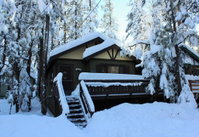 Tiny Mighty Cabin Tourism Bookings