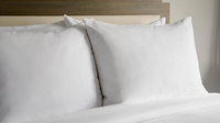 TownePlace Suites by Marriott Detroit Allen Park Tourism Bookings