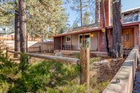 Tranquil Forest Tourism Bookings