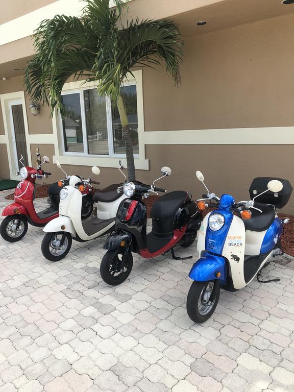 Tropical Oasis - thumb 1