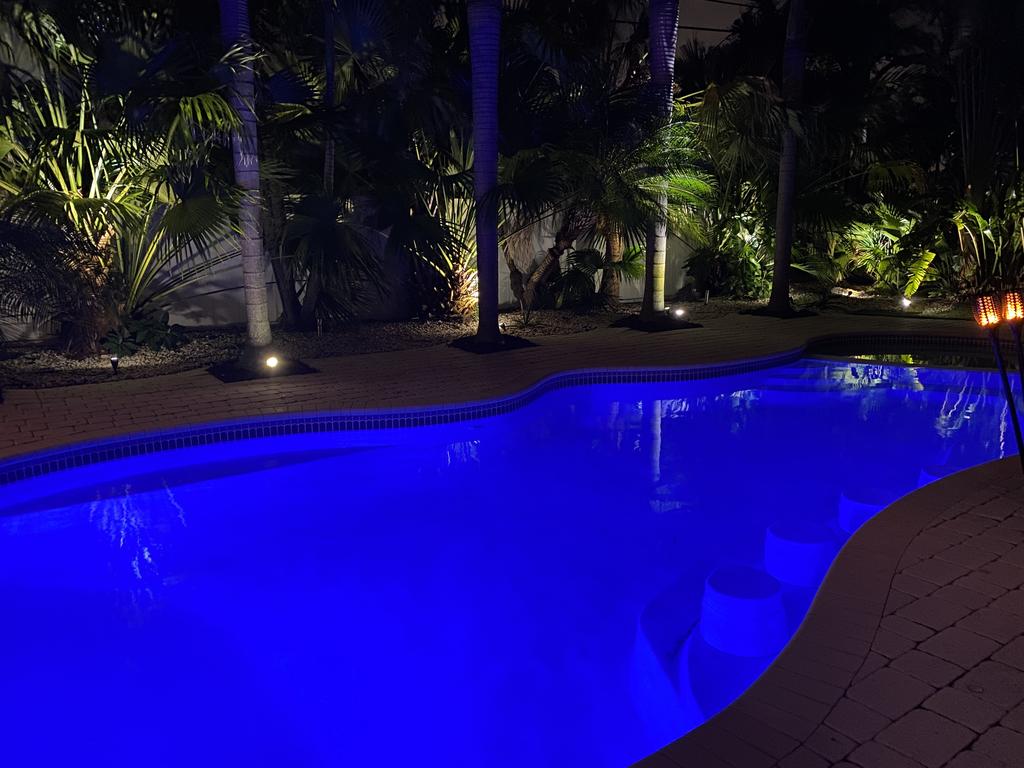 Tropical Paradise - thumb 2