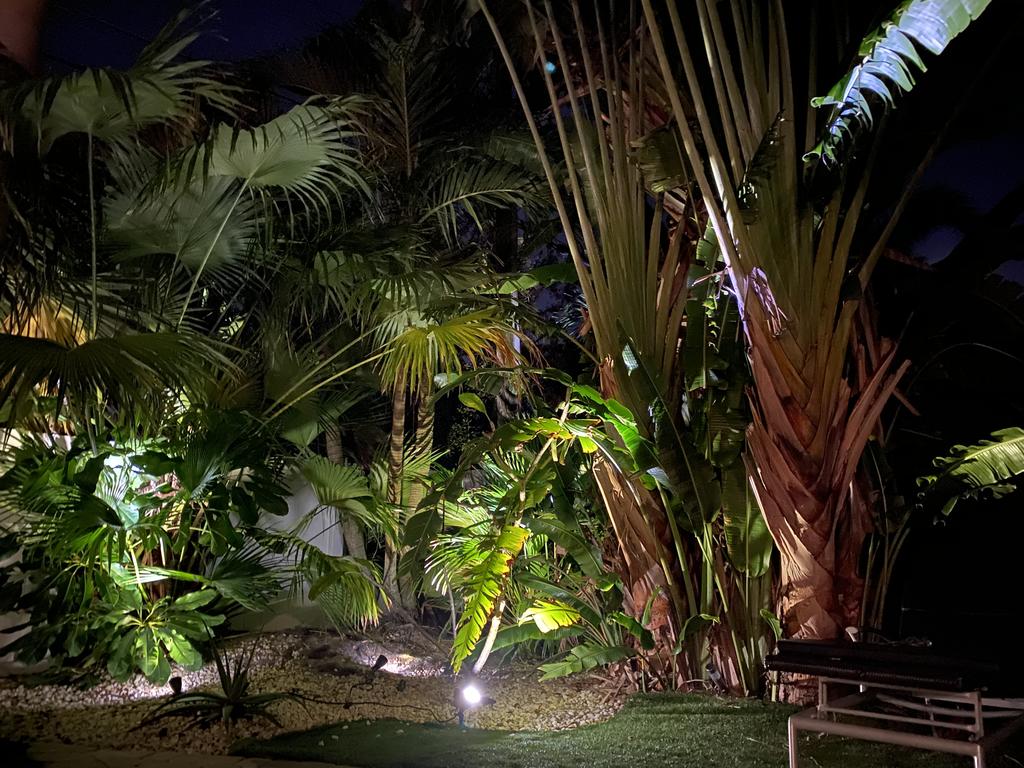 Tropical Paradise - thumb 1