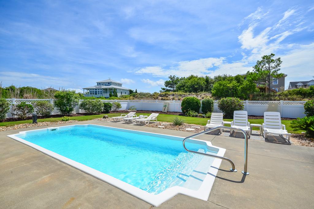 Turtle Tini - thumb 3