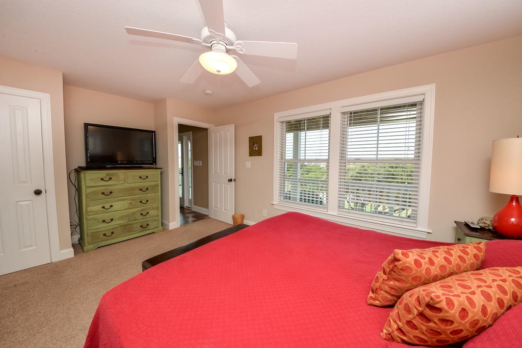 Turtle Tini - thumb 1