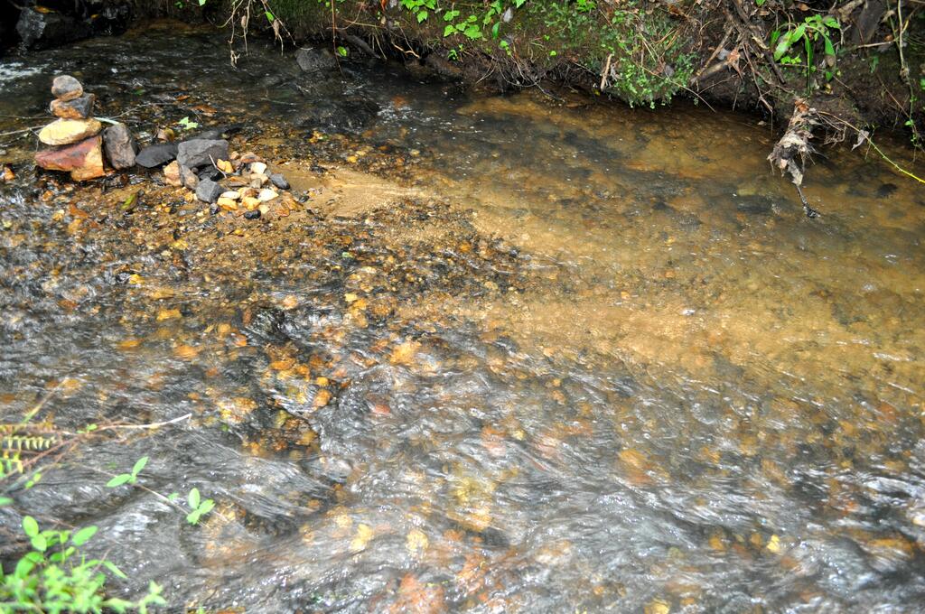 Twin Creeks- Near Ocoee River - thumb 3