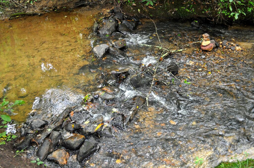 Twin Creeks- Near Ocoee River - thumb 0