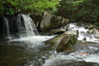 Twin Falls- Stunning Landscape with 10ft Waterfall USA Accommodation