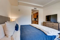 Vail Lion Studio Tourism Bookings