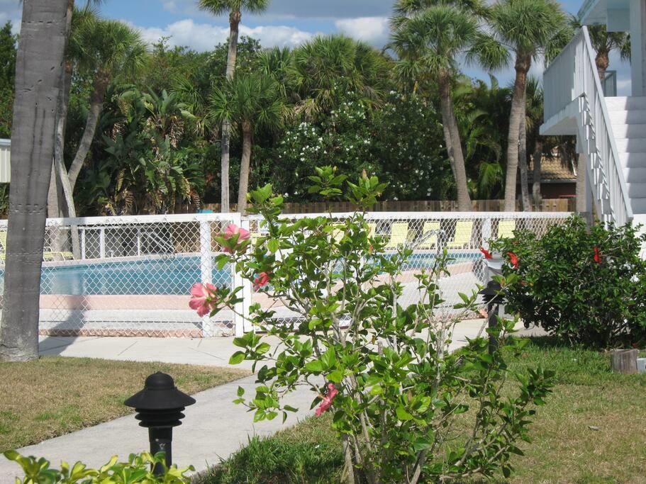 Venice Villas * Poolside #41A - thumb 1