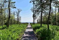 Villa R On The Bay USA Accommodation