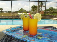 Villa Southern Sun Tourism Bookings