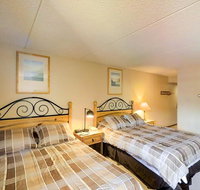 Village Square 535 - Tourism Bookings