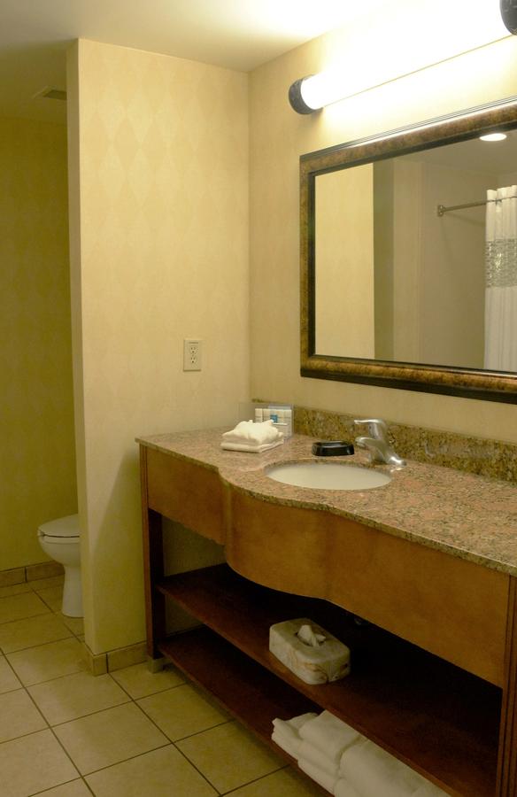 Hampton Inn & Suites Birmingham-Hoover-Galleria - thumb 31