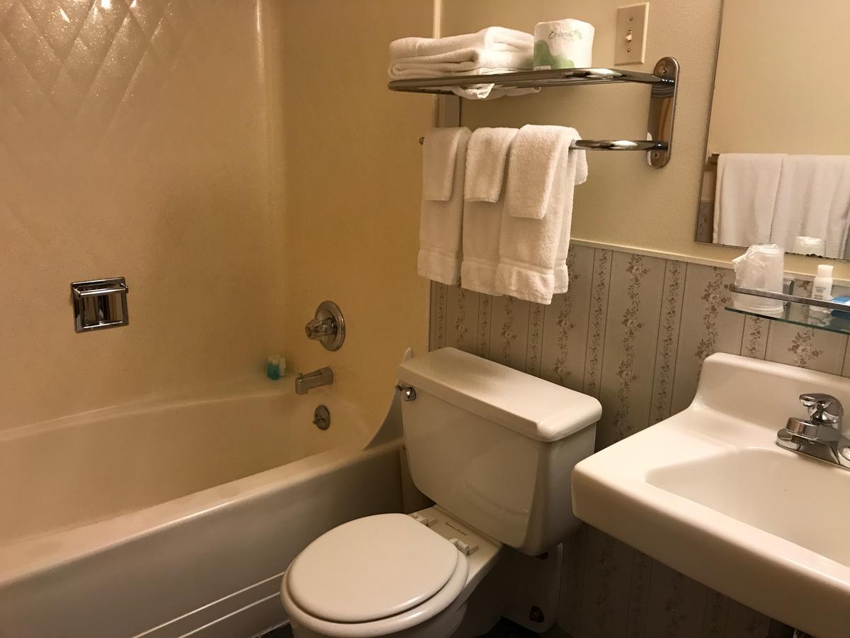 Shelikof Lodge - thumb 8