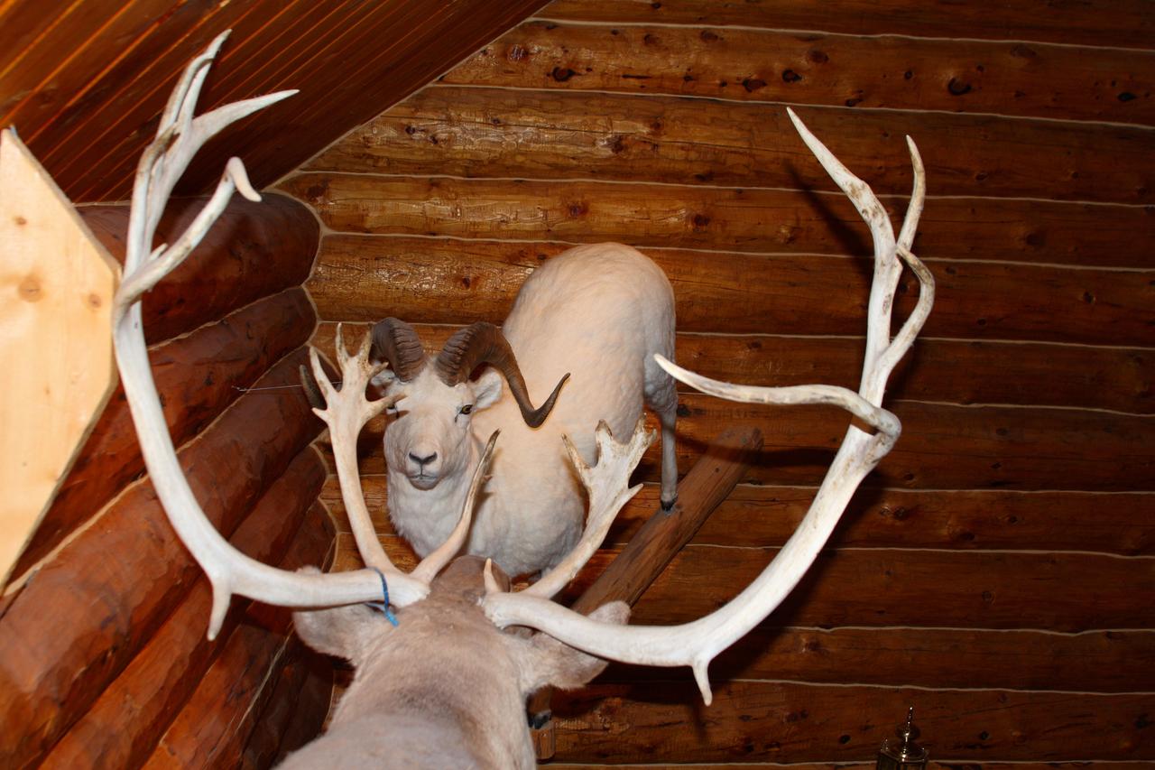 Wise Old Hunter Lodge - thumb 24