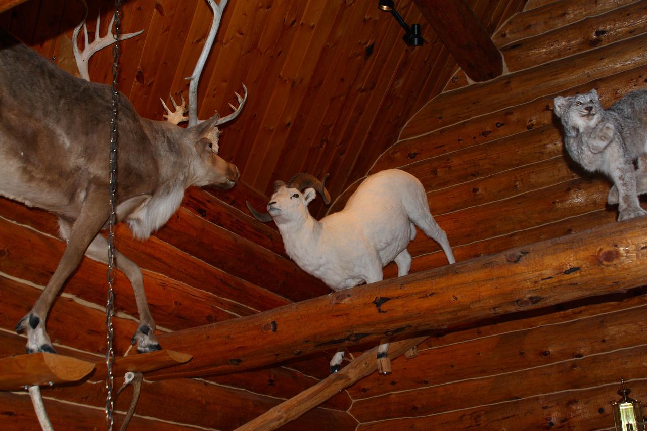 Wise Old Hunter Lodge - thumb 20