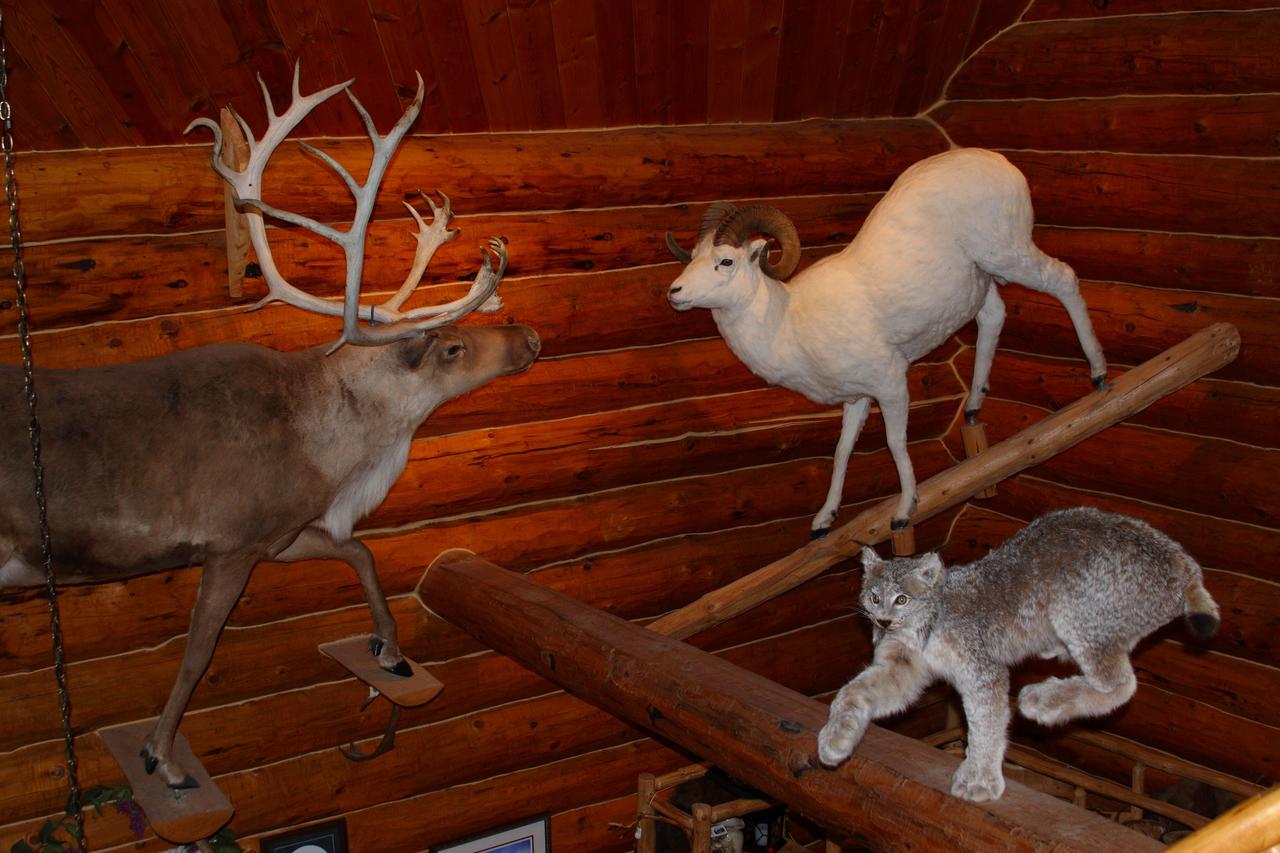 Wise Old Hunter Lodge - thumb 2