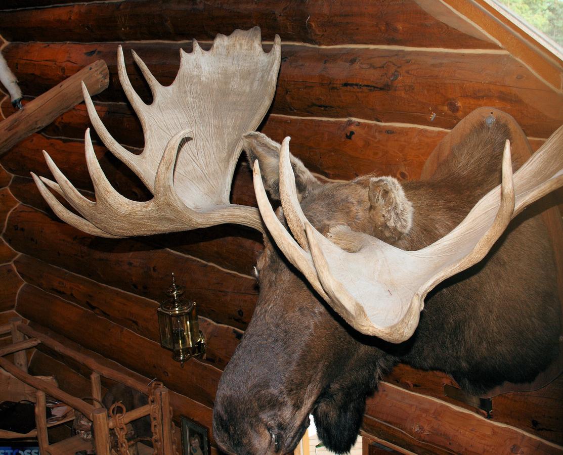 Wise Old Hunter Lodge - thumb 30