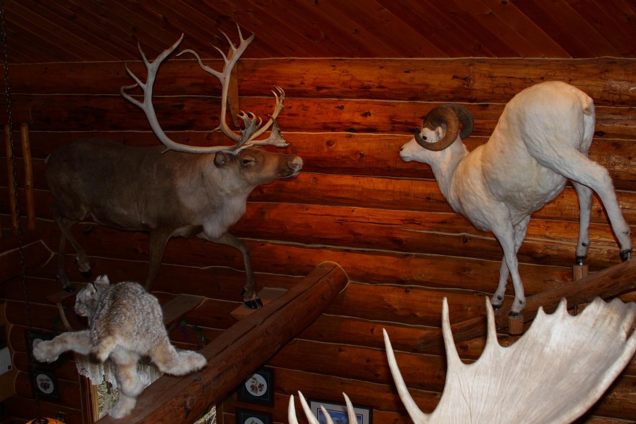 Wise Old Hunter Lodge - thumb 17