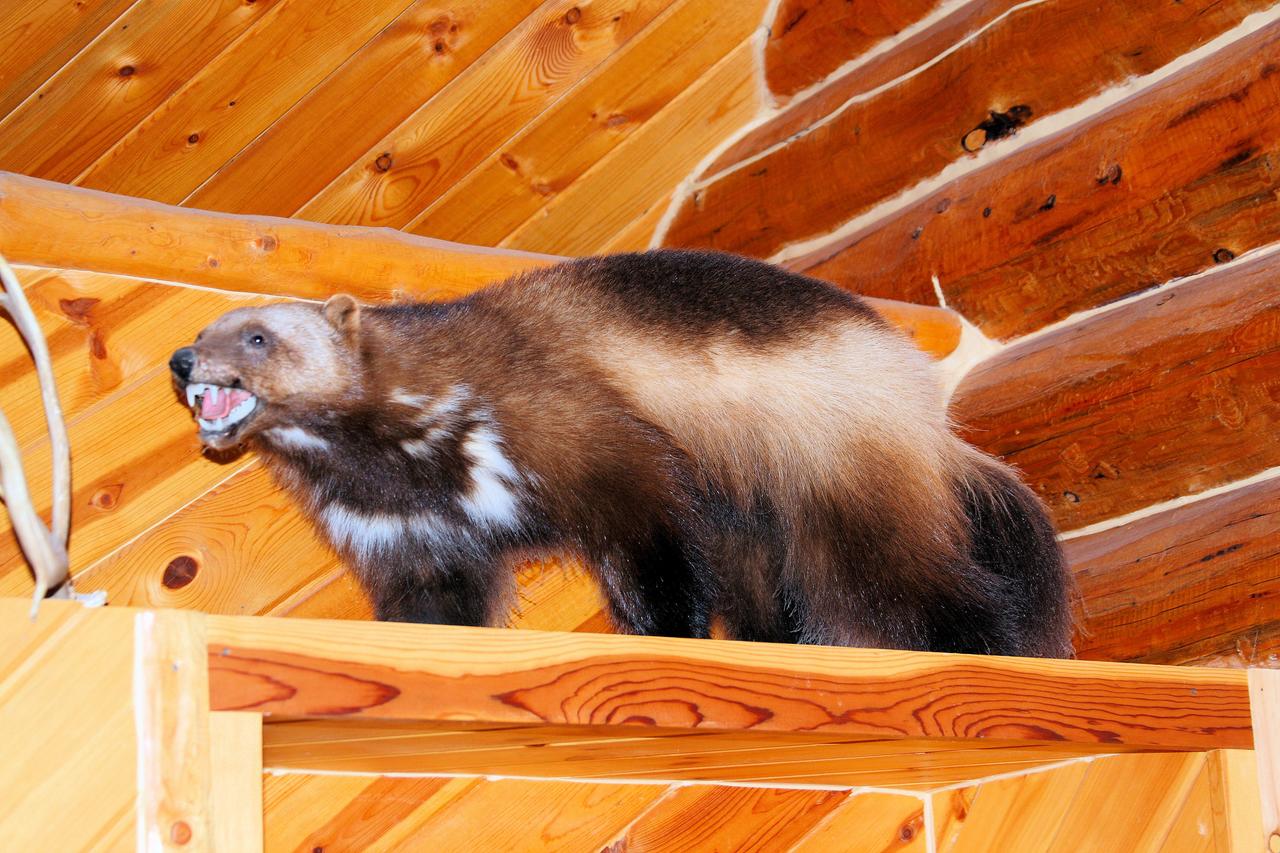 Wise Old Hunter Lodge - thumb 28