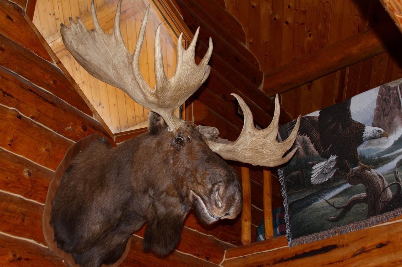 Wise Old Hunter Lodge - thumb 23