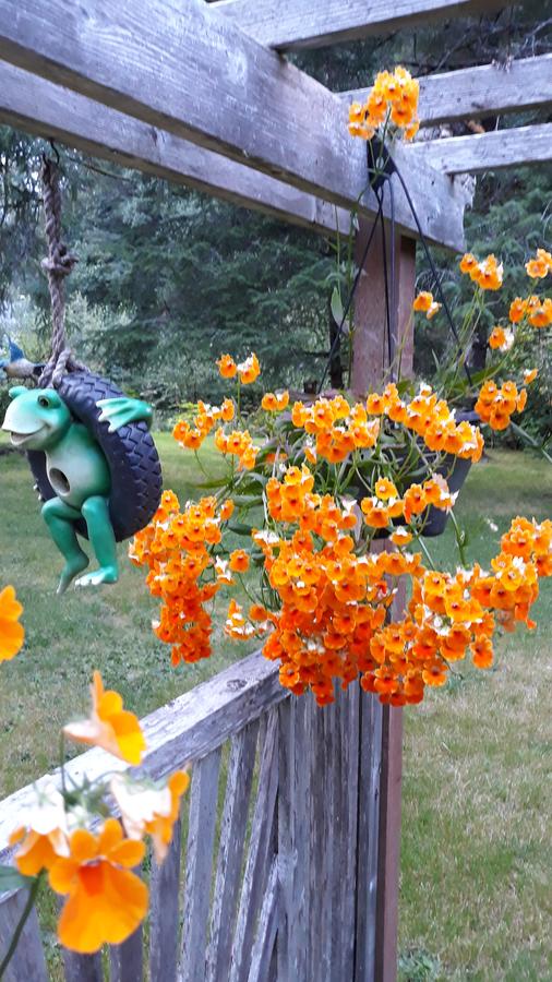 Steller Inn - thumb 5