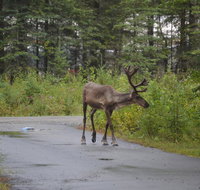 All Seasons BB - USA Accommodation