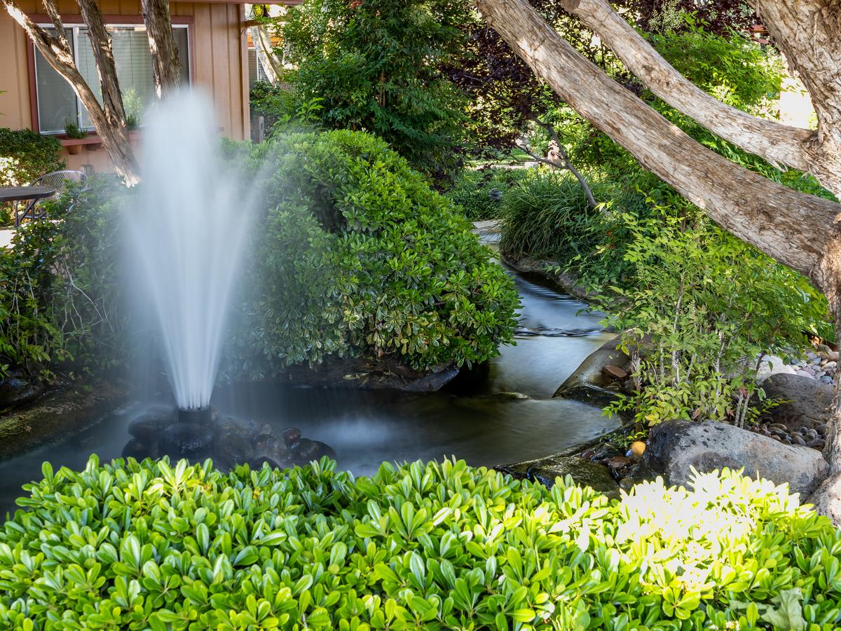 Sky Ranch Lodge - thumb 17