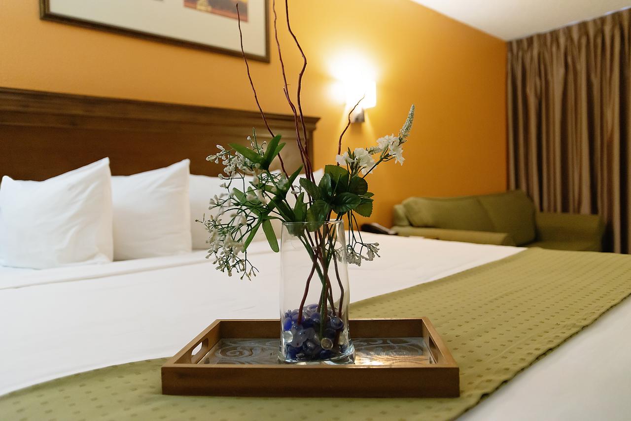 Stay Tucson & Inn Suites - thumb 4