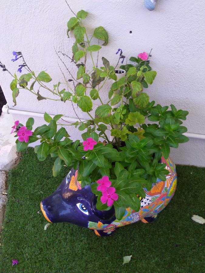 Grand Canyon West Hotel Sheps Miners Inn - thumb 43