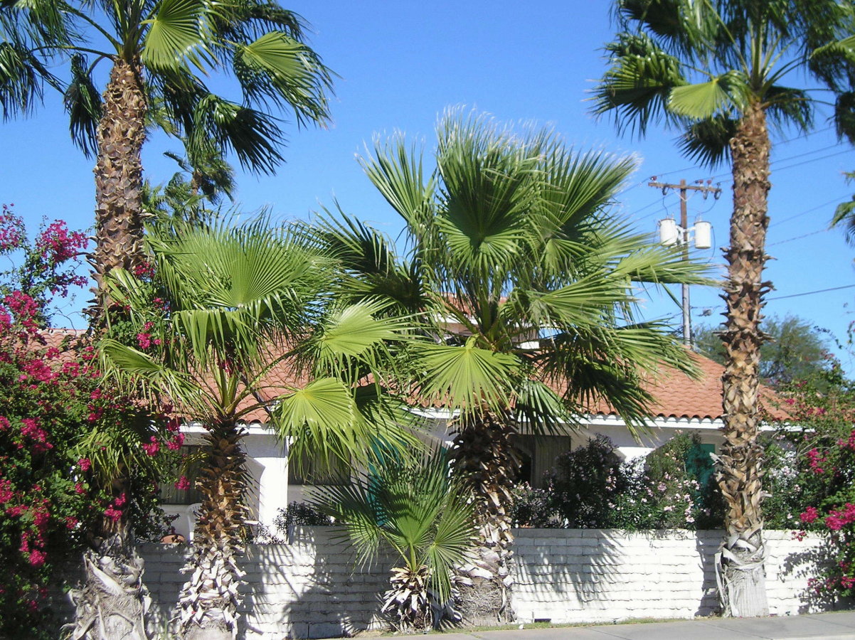 Coronado Motor Hotel - thumb 22