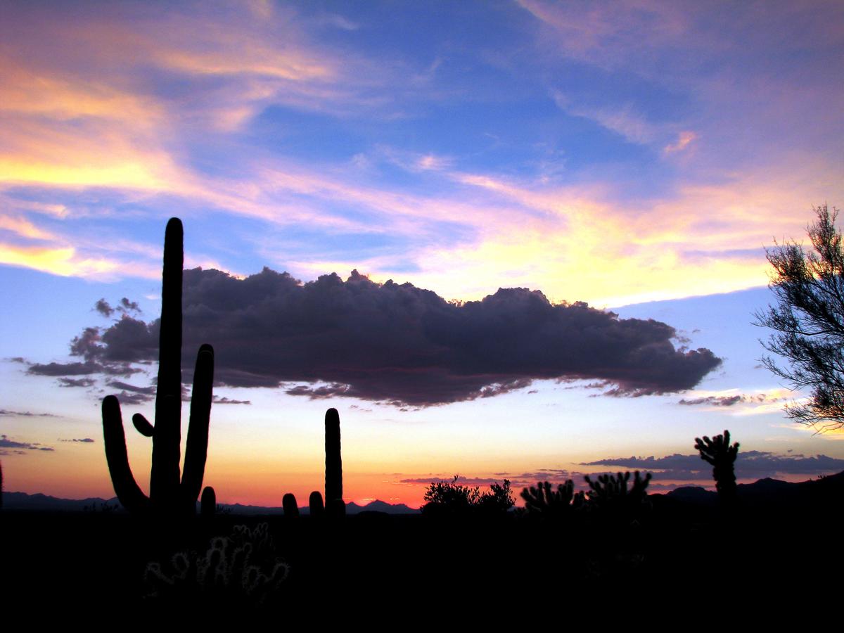 Sonesta Suites Scottsdale Gainey Ranch - thumb 20