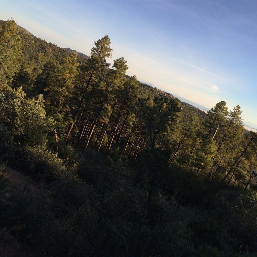 Apple Creek Cottages - thumb 19