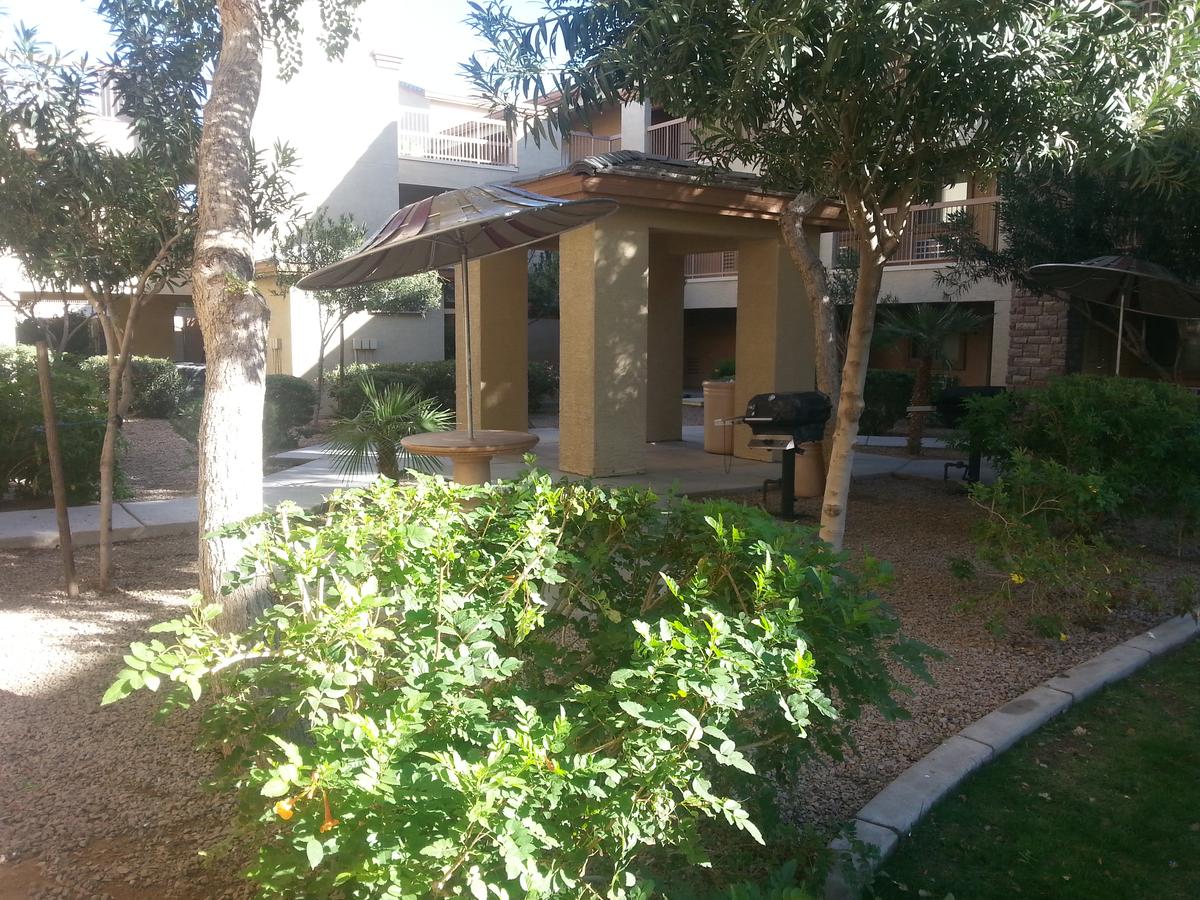 Siegel Select Casa Grande - thumb 8