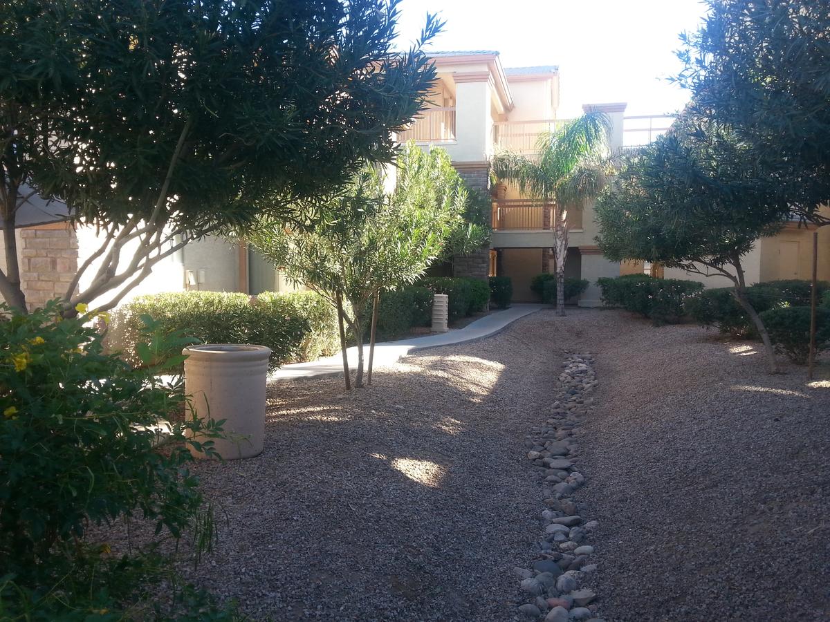 Siegel Select Casa Grande - thumb 10