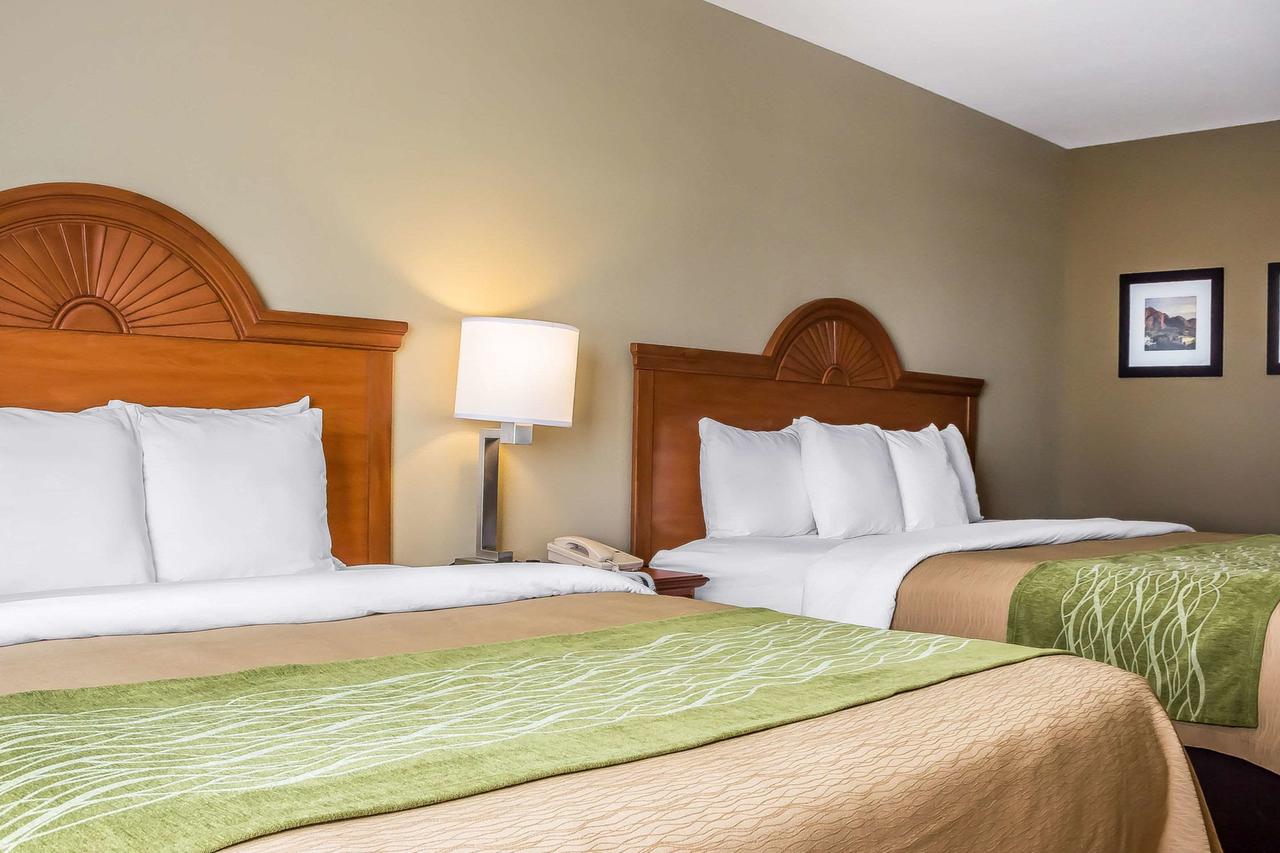 Comfort Inn And Suites Surprise - Phoenix NW - thumb 14
