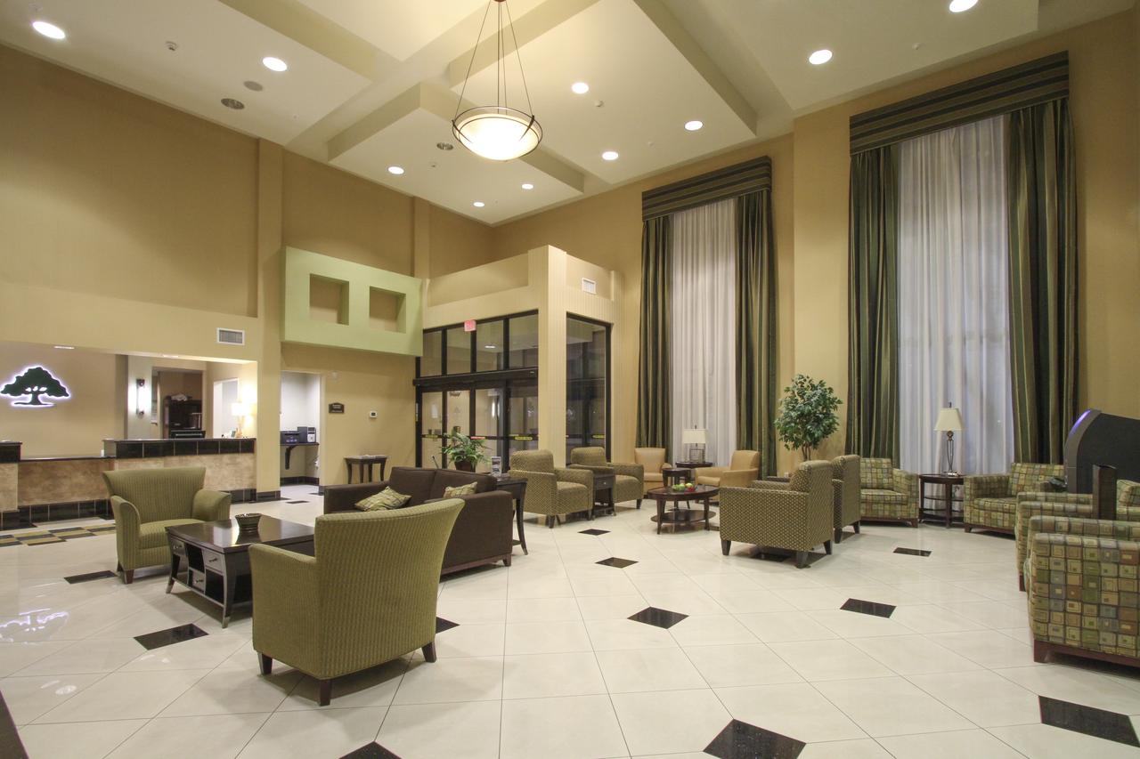 GreenTree Inn And Suites Florence, AZ - thumb 7