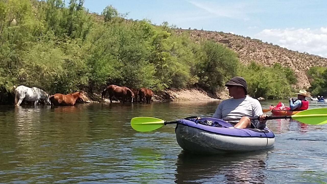 Best Western Apache Junction Inn - thumb 7