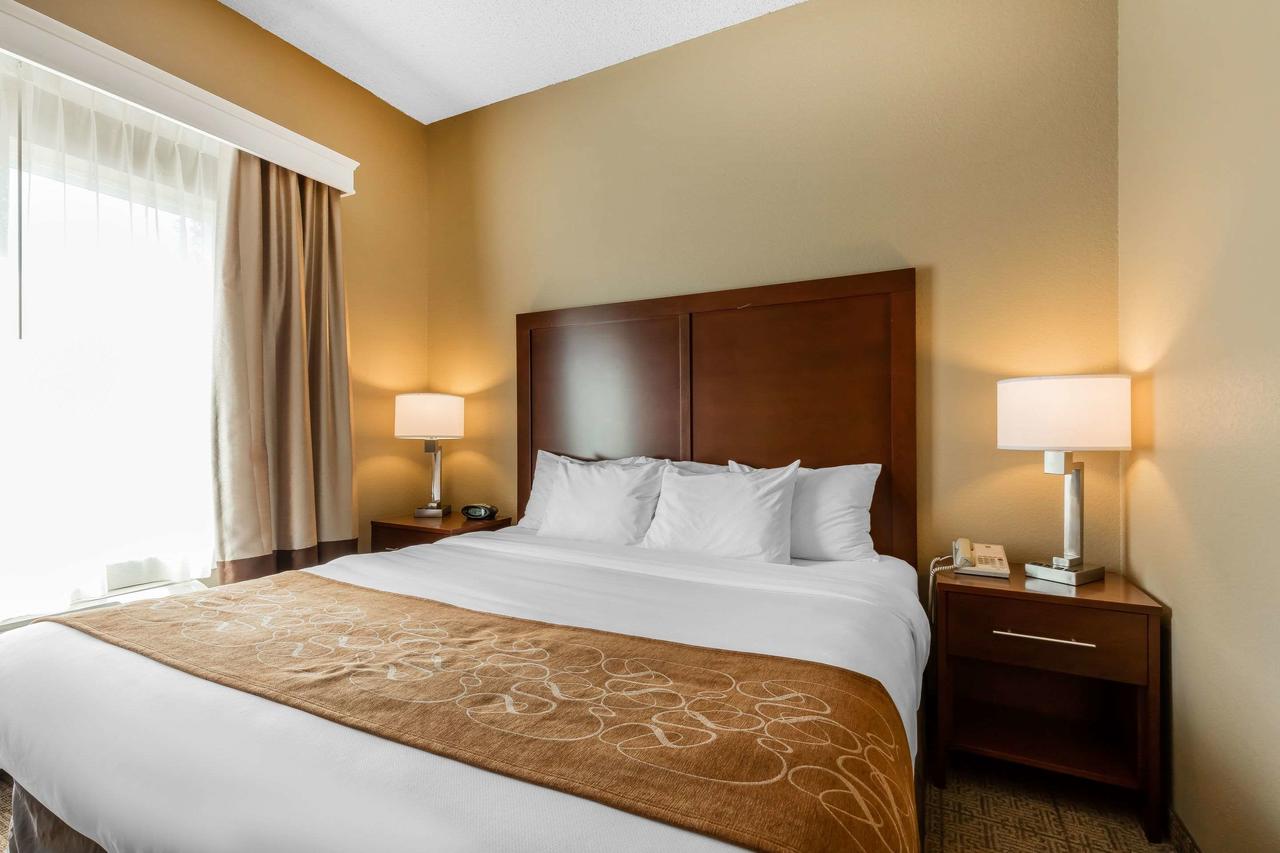 Comfort Suites Jonesboro University Area - thumb 23