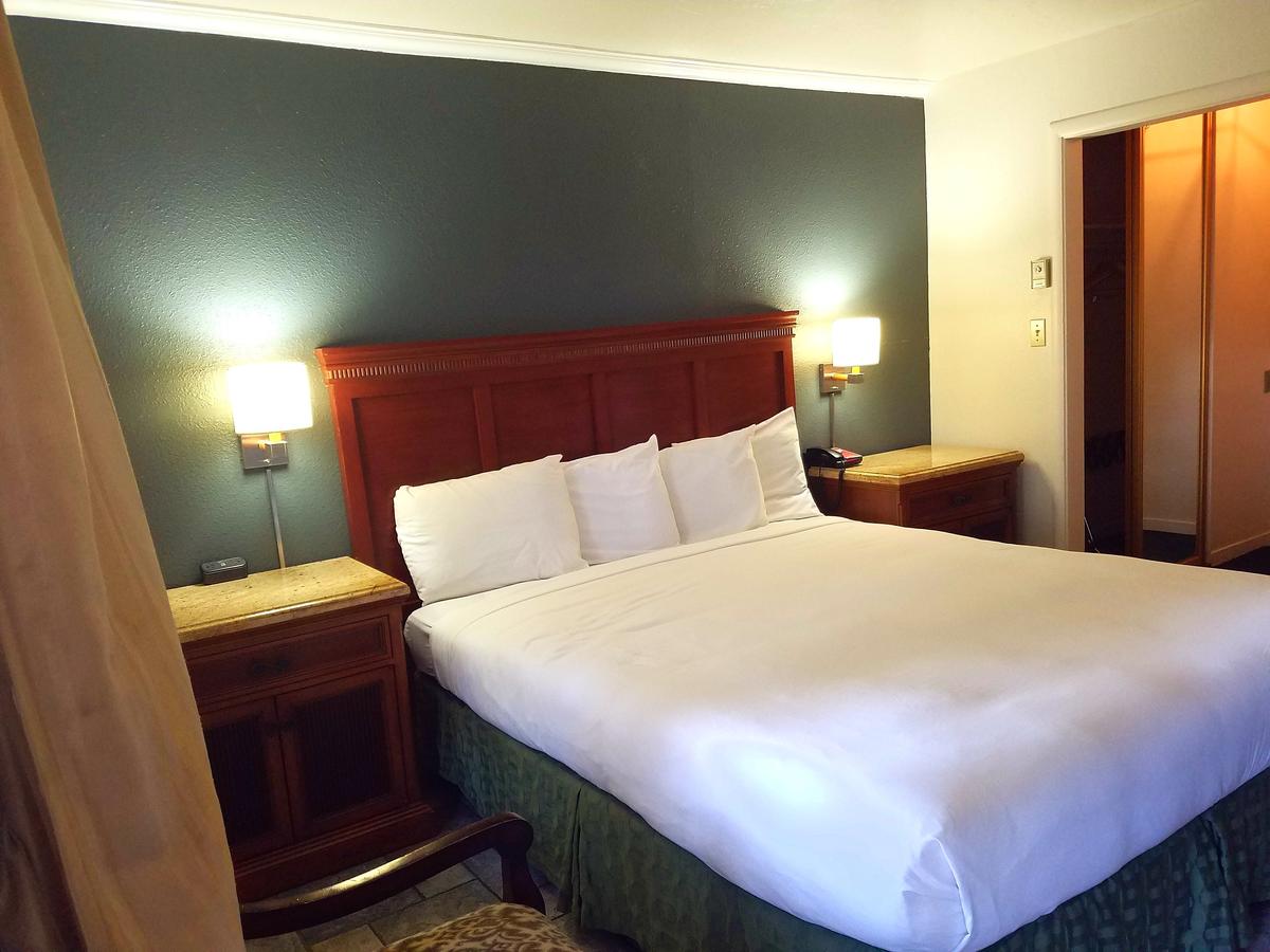 Econo Lodge Inn & Suites Heavenly Village Area - thumb 4