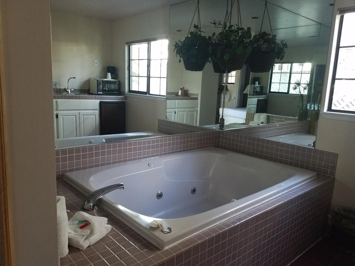 Econo Lodge Inn & Suites Heavenly Village Area - thumb 3