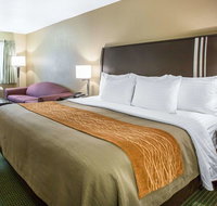 Comfort Inn Yosemite Area - Tourism Bookings