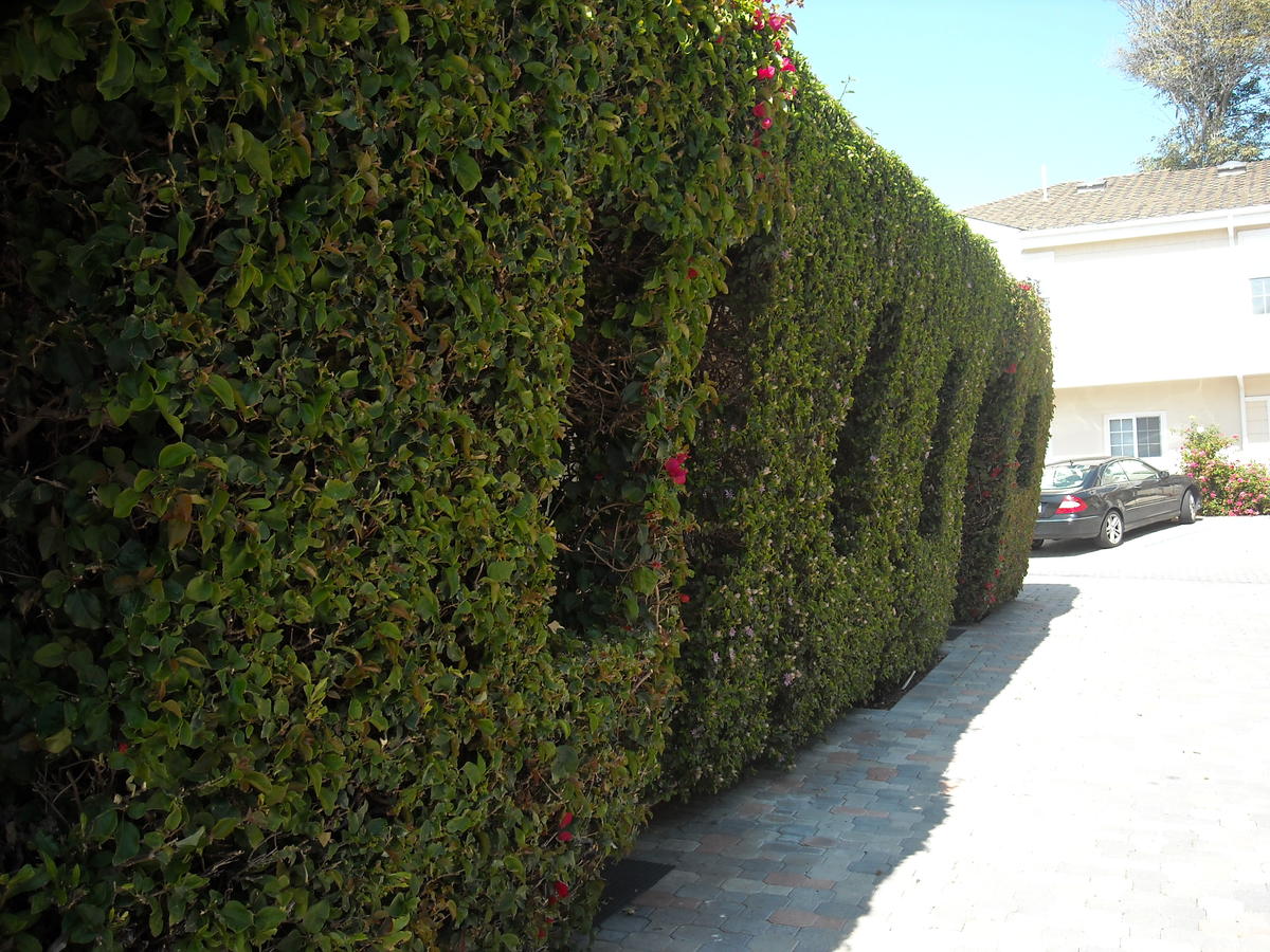 Malibu Country Inn - thumb 27